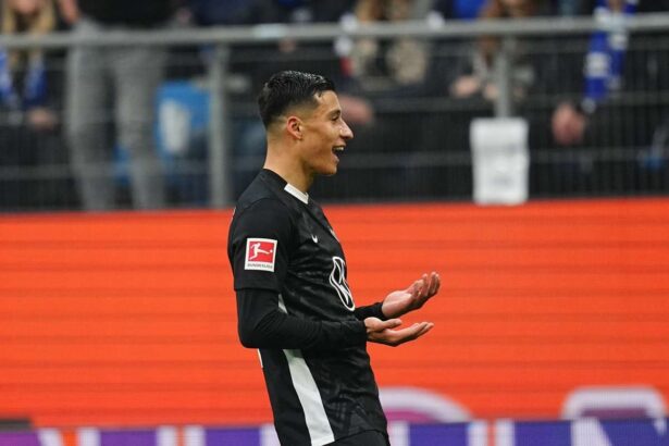 Daghim conduce in timp ce Wolfsburg se lupta si indoaia sub presiunea din a doua repriza impotriva HSV