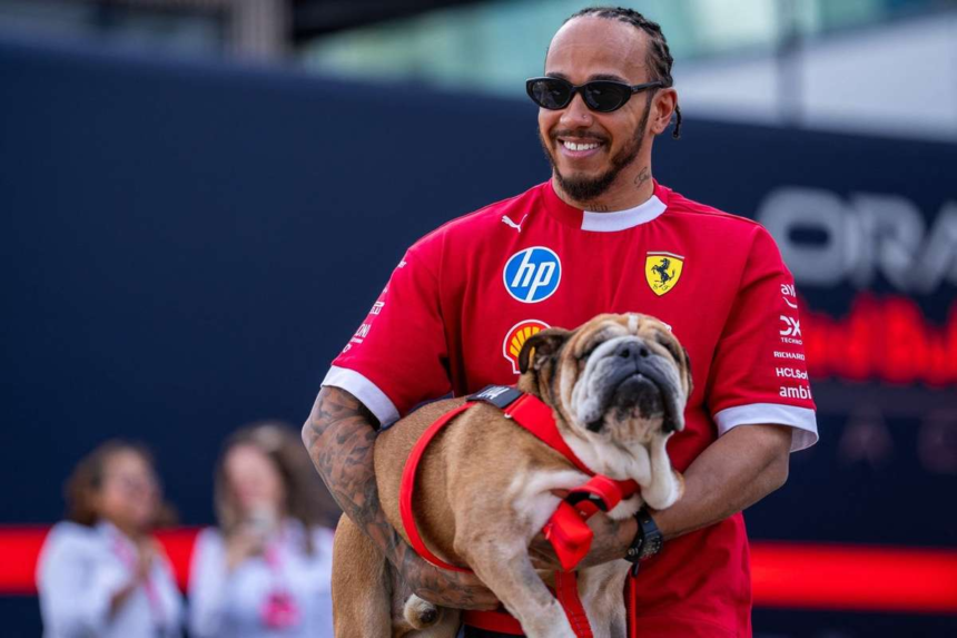 Lewis Hamilton recunoscator pentru sustinere dupa moartea lui Roscoe