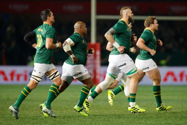 Springboks convoaca perechea de pe linia intai pentru meciurile cu Irlanda si Tara Galilor
