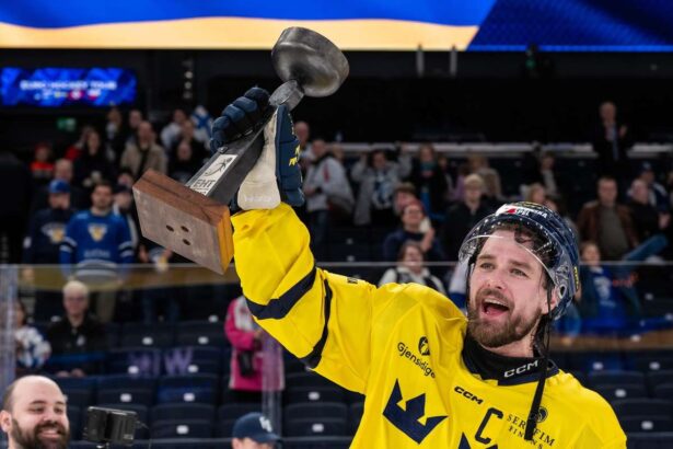 Suedia invinge Finlanda 4 2 in meciurile de hochei pe gheata din 2025
