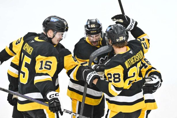 rezumat NHL Canucks resurg cu o revenire de cinci goluri in a treia perioada