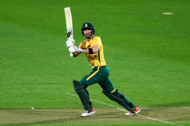 Africa de sud a invins noua zeelanda cu 19 roni pentru a egaliza seria T20 2 2 cu o partida ramasa