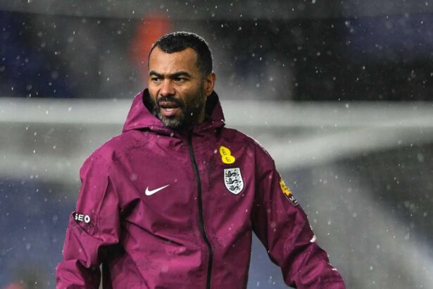 Ashley Cole Nominalizat ca Manager al Echipei Italiene din Primul Divizion Cesena