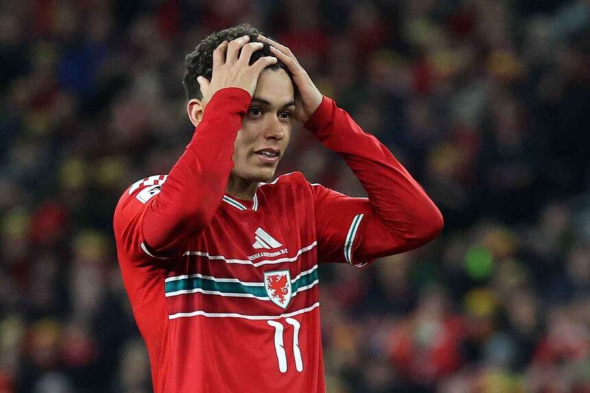 Bosnia si Herzegovina a batut Gales pe penalty uri pentru a ajunge in finala play off impotriva Italiei