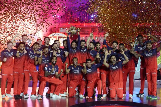 Royal Challengers Bangalore a fost achizitionat pentru 1 78 miliarde de dolari de un consortiu