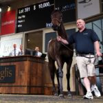 10 Milioane Si Nimic De Aratat Pentru Asta Winx Prima Jire De Cal S a Retras Fara A Coura