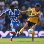 acest star al lupilor ar putea schimba campionatul pe la liga in acest vara