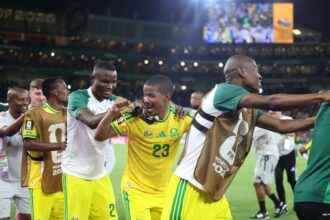 Africa de Sud urca in clasamentul FIFA dupa Cupa Mondiala