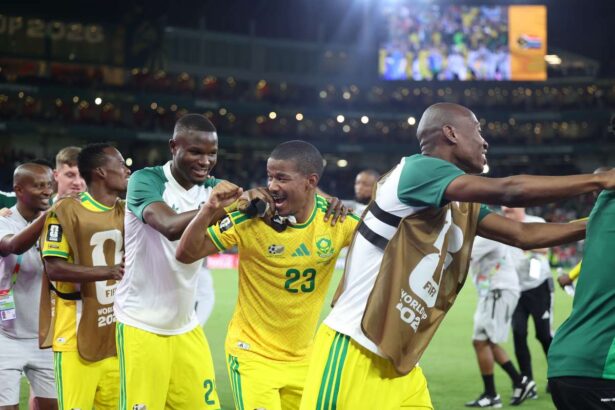 Africa de Sud urca in clasamentul FIFA dupa Cupa Mondiala
