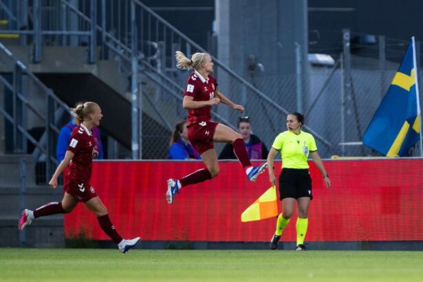 Super sub Harder Pune Danemarca pe Marginea Campionatului Mondial cu O Victorie Cruciala Aflat Impotriva Suedei