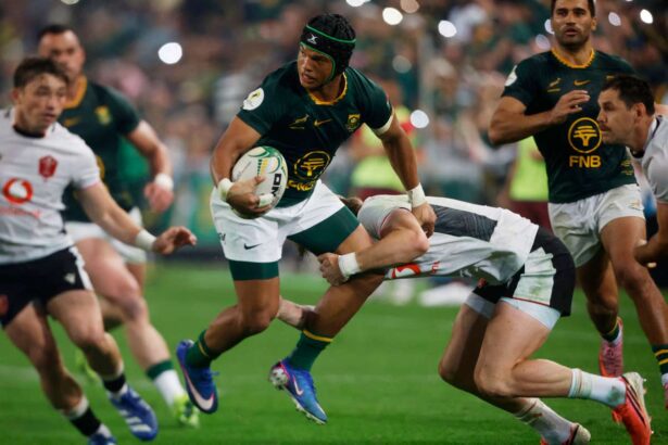 Africa de Sud obtine victorie dominanta asupra rii Galiilor in campionatul natiunilor