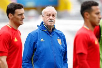 Del Bosque atrage atentia Spania s nu subestimeze Argentina capcana in finala Cupei Mondiale
