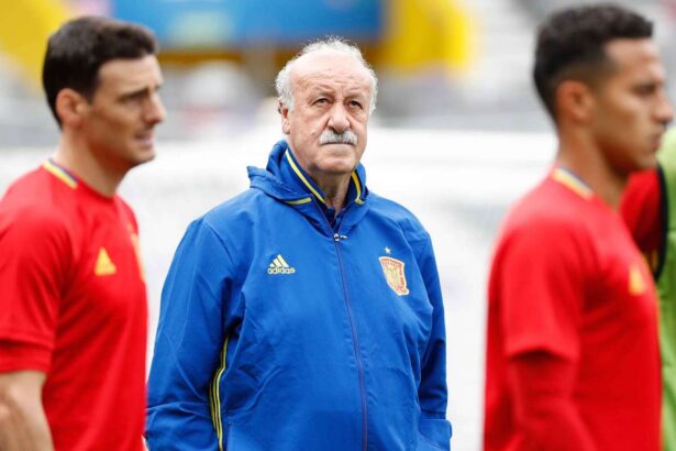 Del Bosque atrage atentia Spania s nu subestimeze Argentina capcana in finala Cupei Mondiale