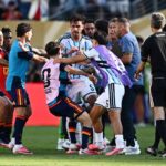 FIFA va investiga bataia urma finalei Cuplui Mondial