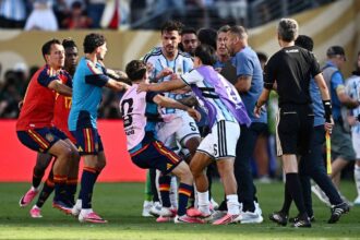 FIFA va investiga bataia urma finalei Cuplui Mondial