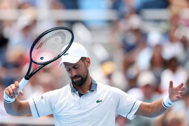 Djokovic eliminat din Cincinnati Open de Tirante in primul ronde