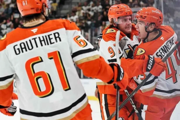 Pot continua Anaheim Ducks seria bună după startul excelent?